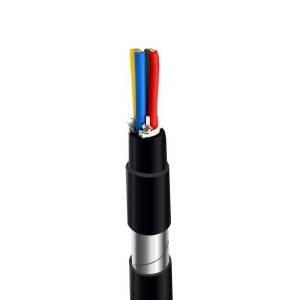 CHDL 聚氯乙烯铠装电缆 450/750V