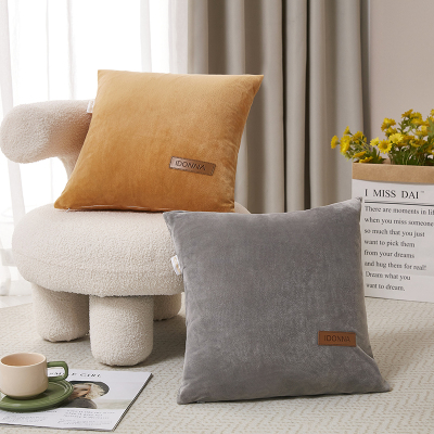 唐纳家纺 水晶绒抱枕 45×45cm- TN-PB22030