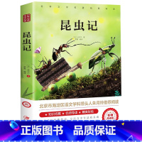 昆虫记 [正版]爱的教育六年级必读上册原著完整版意大利亚米契斯著三四五六年级老师必读的课外书小学生阅读书籍文学经典青少年