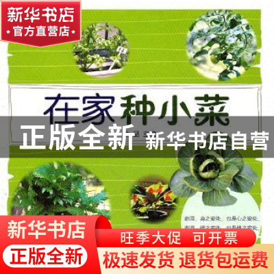 正版 在家种小菜 她品主编 农村读物出版社 9787504855367