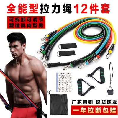 甄萌弹力绳家用健身拉力绳扩胸训练拉力器男女健身瘦身力量阻力带器材