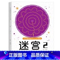 迷宫-2(适合6岁+) [正版]左右脑思维专注力迷宫大挑战幼儿园高难度迷宫魔线小学生益智游戏3-6-7-8-10岁儿童走