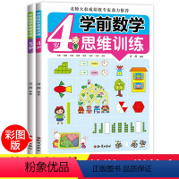 [正版]数学思维训练全2册趣味阶梯数学幼儿游戏书幼儿园启蒙早教书3-4-5-6-7岁全脑逻辑大班小学一年级天天练大脑的