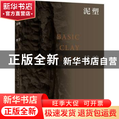 正版 泥塑基础教学 陈宏践[等]编 广西师范大学出版社 9787559841