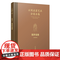 云冈石窟艺术分类全集:菩萨造像