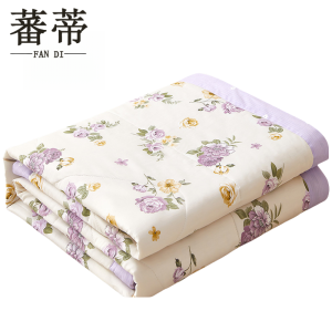 蕃蒂空调被