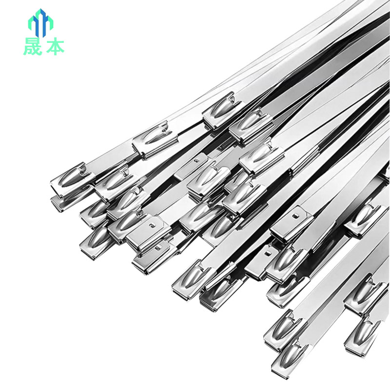 晟本 不锈钢扎带 7.9*1300mm 根