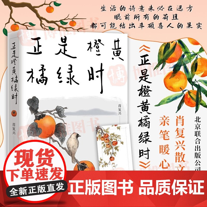 正版新书正是橙黄橘绿时 肖复兴 暖心新作 一份人生小哲书 温暖你的三餐和四季 收获优雅与从容肖复兴散文集小说书籍
