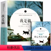 我是猫 [正版]赠考点九年级下册 围城契科夫短篇小说集格列佛游记我是猫 青少年完整版无删减原著 八九年级初中生中小学生