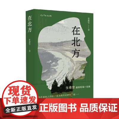 在北方 张惠雯 著 小说