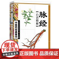 脉经白话精解 王竹星主编 天津科学技术出版社 正版书籍