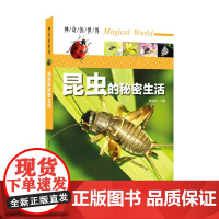 神奇的世界——昆虫的秘密生活(全彩图解版)