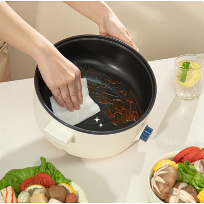 蓝宝(BLAUPUNKT) 电煮锅 电火锅家用大容量2-4人使用多功能锅 BP-DZG20