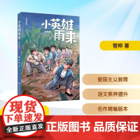 预售 小英雄雨来 名作精编版 管桦 著 儿童文学少儿 正版图书籍 湖南少年儿童出版社