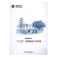 正版新书]国家电网公司“十三五”班组建设工作手册国家电网公司