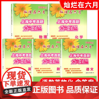 2025版灿烂在六月 上海中考真题 分类汇编 语文数学英语物理化学 含答案 中西书局 初一初二初三年级 中学语文复习测试