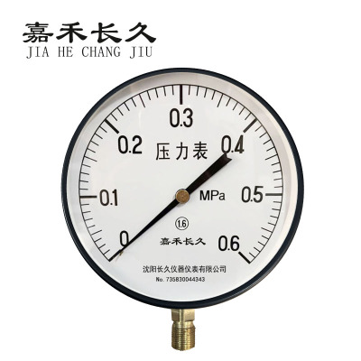 嘉禾长久 压力表检测型 Y200 块