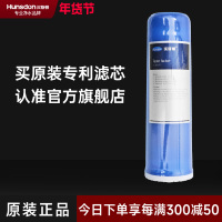 汉斯顿/Hunson 净水器净水伴侣后置 口感因子滤芯