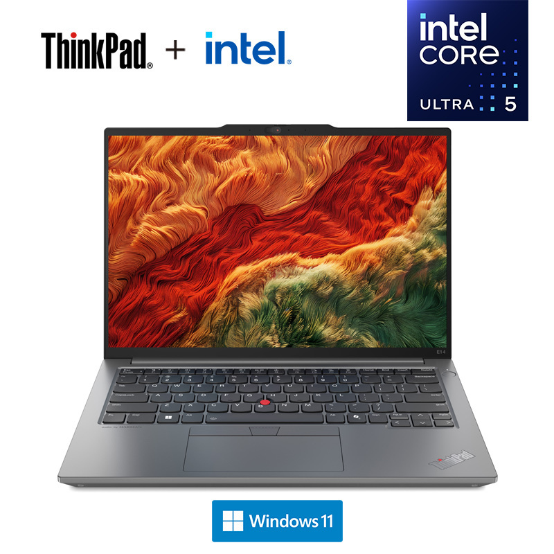 ThinkPad E14 18CD AI 2024 经典商务本 14英寸笔记本电脑 定制 英特尔酷睿Ultra 7 155H 64G 2T固态 锐炫Arc显卡 2.2K高色域 银