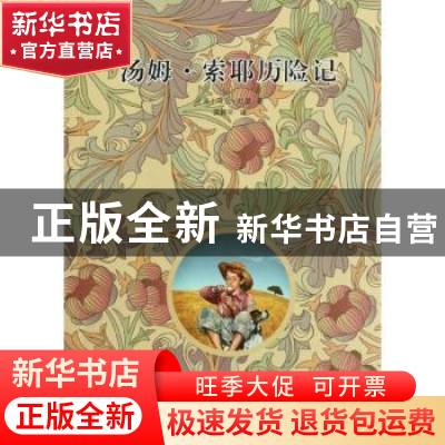 正版 汤姆·索耶历险记 [美]马克·叶温[MarkTwain]著 漓江出版社