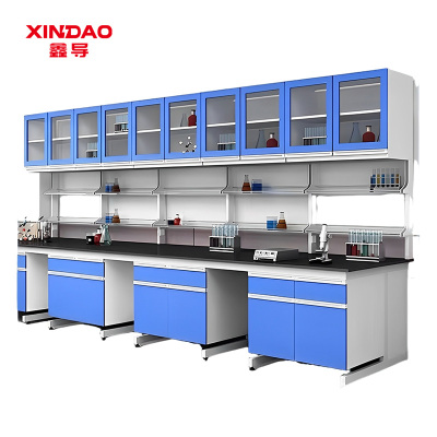 鑫导 实验台 SYT247-钢木吊柜定制 米