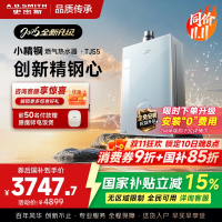 史密斯佳尼特[小精钢TJS5]16升增压零冷水燃气热水器 国家补贴 JSQ31-TJS5 安全守护 持久恒温 新品