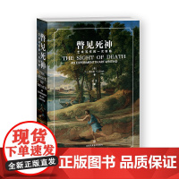 瞥见死神:艺术写作的一次实验 江苏凤凰美术出版社 艺术通识