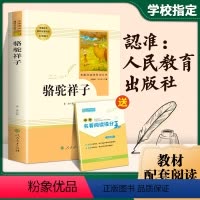 [正版]人教版骆驼祥子原著 老舍七年级必读名著人民教育出版社初中生初一上 下册经典书目必读课外书世界名著文学小说书籍海
