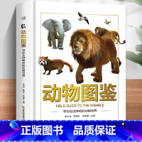 [单本]动物图鉴 [正版]枪图鉴带你体验真实的枪械世界精装硬壳儿童百科全书图鉴幼儿读物科学绘本故事6-12岁小学生科普百