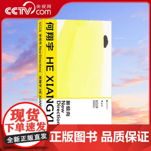 [央视网]新倾向 何翔宇 artnet2016首届年度艺术大奖 新锐艺术家 得主何翔宇艺术专著 北京联合出版有限公司 H