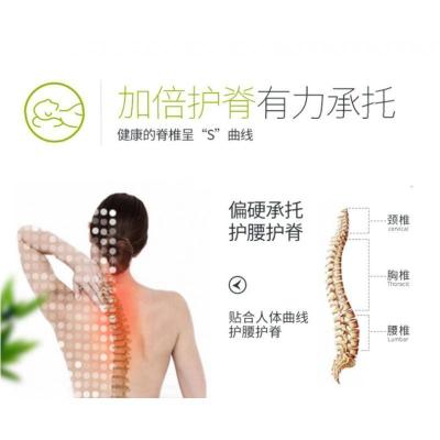 家柏饰(CORATED)椰棕床垫软垫 榻榻米垫子海绵双人家用乳胶垫学生宿舍单人