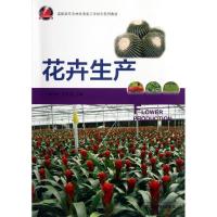 正版新书]花卉生产施雪良9787308098649