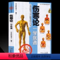 [正版]伤寒论一学就通 中医入门零基础 伤寒论白话解 全文彩图 临床知识书籍 张仲景 中医基础理论 中医四大名著 伤寒