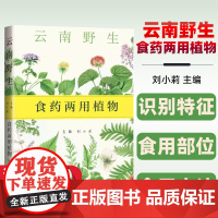 云南野生食药两用植物 上海科学技术出版社 9787547864692