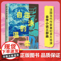自由泳的温柔 女性身体和自由的新故事 冲破一切 成为自己 抵达爱 德博拉利维 安妮·埃尔诺 事件外国文学小说