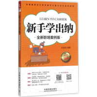 音像新手学出纳王俊清 编著