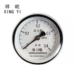 祥屹 压力表检测定制型 Y50Z 块