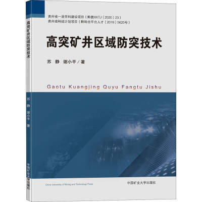 醉染图书高突矿井区域防突技术9787564650285