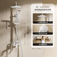 九牧(JOMOO) 卫浴淋浴花洒套装喷头淋浴器硅胶净垢喷头升降淋浴器套装36453-592/1B-1