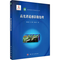 音像高光谱遥感影像处理张良培,杜博,张乐飞