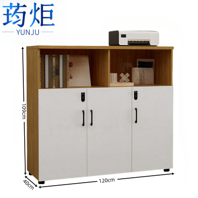荺炬文件柜3门柜台