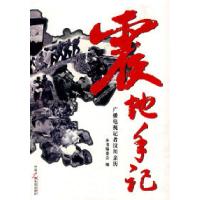 正版新书]震地手记《震地手记 广播电视记者汶川亲历》编委会978