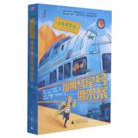 [N]加州彗星号绑架案/火车探案记-9787559838841