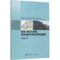 塔南-南贝尔凹陷层序地层与同沉积构造响应