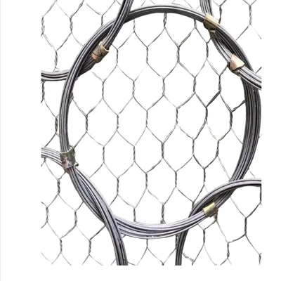 长铁 边坡防护网PPS-100/DB-A 平方米