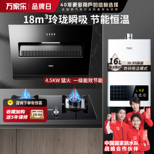 万家乐 油烟机灶具热水套餐 AL031+LAY3+16T1 18立方大吸力油烟机 4.5kw猛火 天然气16L水量热水器