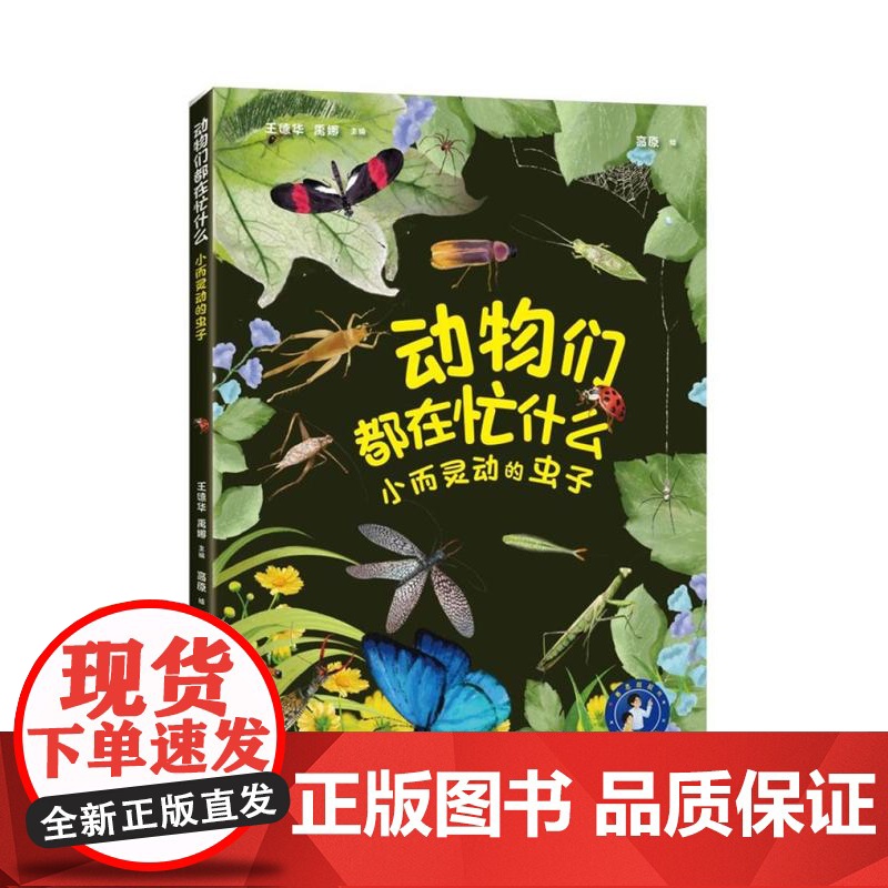 小而灵动的虫子 赛思叔叔的十万个为什么丛书动物们都在忙什么王德华禹娜主编高原绘上海科学技术出版社正版图书籍