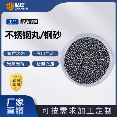 站友 钢丸0.6mm 1kg