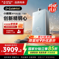 史密斯佳尼特[小精钢TJS5]16升增压零冷水燃气热水器 国家补贴 JSQ31-TJS5 安全守护 持久恒温 新品