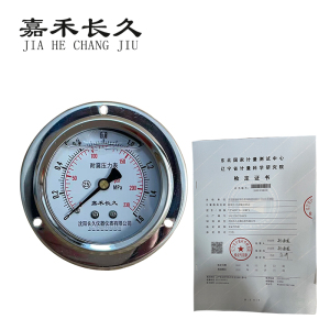 嘉禾长久 耐震压力表轴向带边(带辽宁省级检定证书)YTN60ZT 块